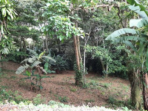 Lote 22 -Villas del Café - Exterior