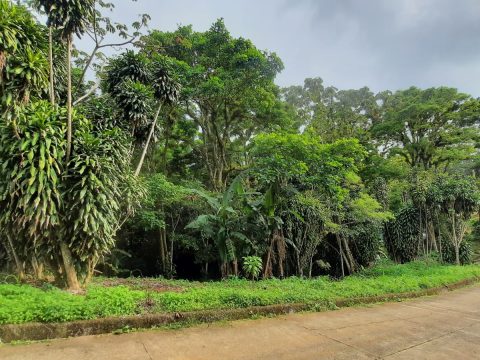 Lote 21 – Villas del Café - Exterior