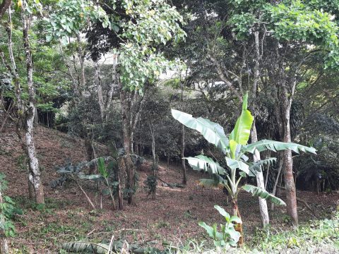 Lote 21 – Villas del Café - Exterior